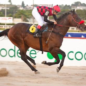 Tarumã – 11/01/2013