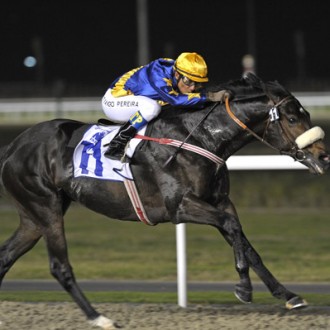 Dubai : Glória de Campeão vence o Al Maktoum Chalenge – 28/01/2010