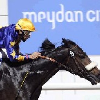 Glória de Campeão (Brz) e Haras Santarém – Show em Dubai