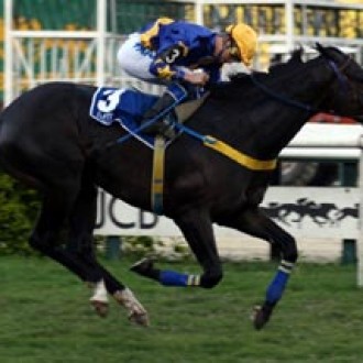 Glória de Campeão, veloz e resistente – [07/07/2007]