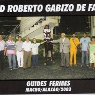 GÁVEA – 08/01/2007 – GUIDES FERMES