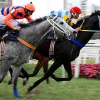 Cidade Jardim – 27/09/2008