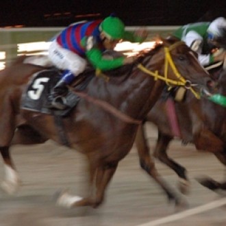 Tarumã – 20/01/2009