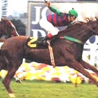Hémérocalle (Brz) – Perfeita no Clássico Pres. Luiz Oliveira de Barros (L)