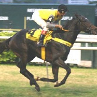 05/05/2008 – Hilaris (Brz) – Linda Vitória no GP. Antônio Carlos Amorim Gr.3