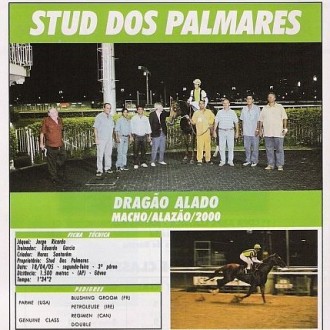 MAIS UM CRIOULO, FILHO DE PARME, QUE BRILHA.