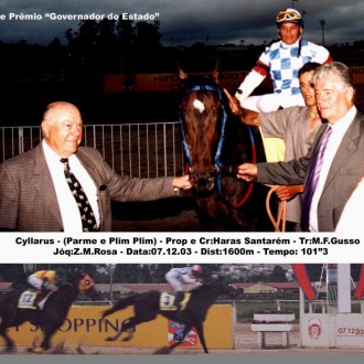 Elfishness, Haras Santarém, criação paranaense… …todos já viram este filme antes…algumas vezes…