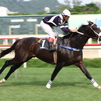 Dragonet: uma “super atropelada” no principal páreo de sábado