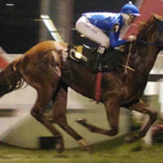 SP: Berlino di Tiger desbanca Desejado Thunder no quilômetro 26/06/2011 – 17h58min