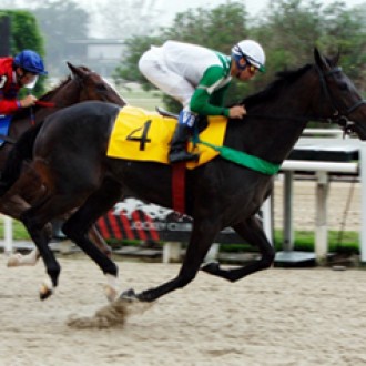 No clássico das potrancas, Lady Mary Anne bate a favorita Vai Rolar 28/01/2012