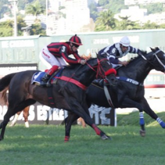 Iso Inconteste vence Listed no photochart – ISO INCONTESTE CONQUISTA SUA 10ª VITÓRIA, SENDO A 6ª CLÁSSICA E A 7ª NAS ÚLTIMAS 8 APRESENTAÇÕES COM UM SEGUNDO NA FOTO EM PROVA ESPECIAL