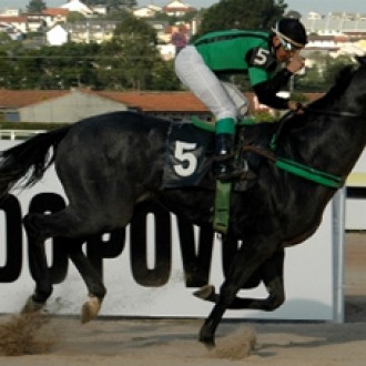 Tarumá – 05/12/2008 