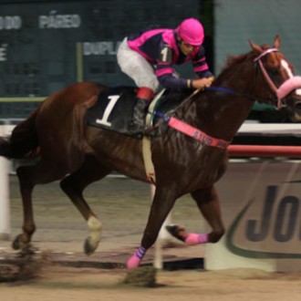 It Is A Fighter leva Handicap de campo reduzido