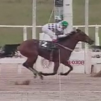 Hojechove (Brz) – Vence Copa Velocidade de Potros ABCPCC Gr.3