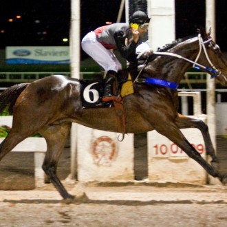 Tarumã – 10/07/2009 – JOVIAL COLT
