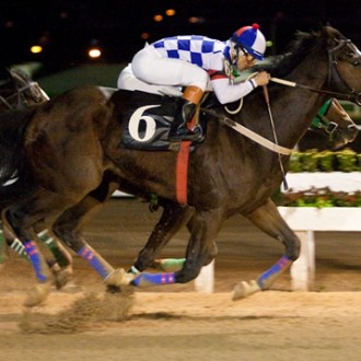 Tarumã – 19/06/2009 – CRIOULO DO HARAS SANTARÉM ASSUME A LIDERANÇA DOS 2 ANOS NO TARUMÃ