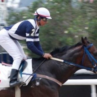 Kahuna, um passeio remunerado na areia da Gávea 8/20/2011