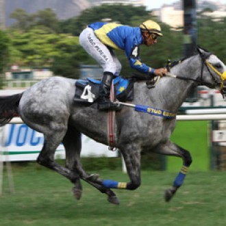 Light Blue confirma favoritismo e vence Handicap