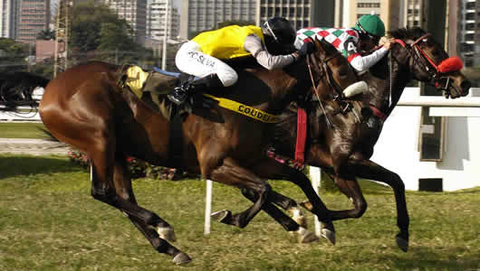 luccica_fortuna_21-5-2011