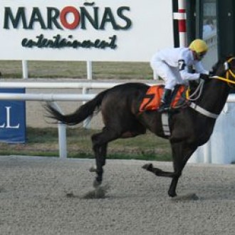 Maroñas – 23/11/2008