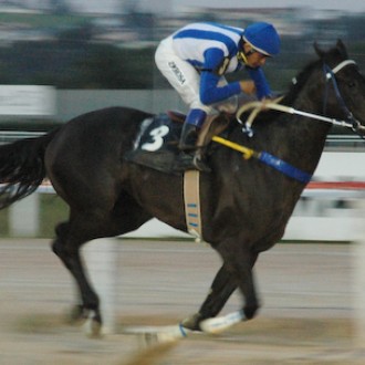 Tarumã – 20/01/2009