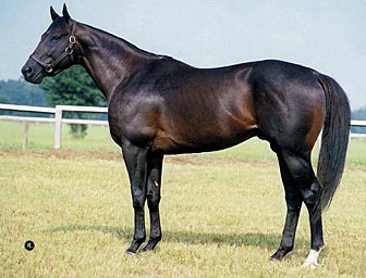montbrook_30