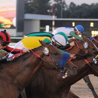 Tiger Woods perde grupo III de cabeça em Palermo