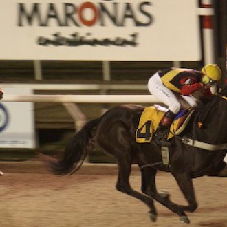 FILHA DE GIANT GENTLEMAN GANHA CLÁSSICO EM MAROÑAS