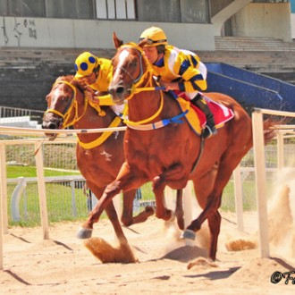 Cristal – 26/01/2012