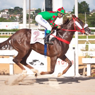Tarumã – 11/01/2013 – YANTARNI