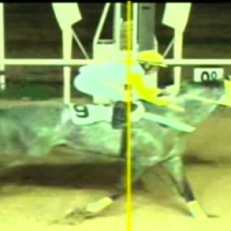 Beduino do Brasil reaparece com recorde no GP Protetora do Turfe [04/09/2014]