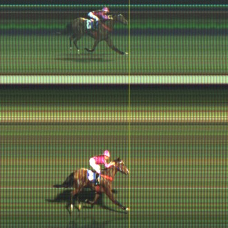 Cidade Jardim – 10/08/2015 – COL VETORAZ