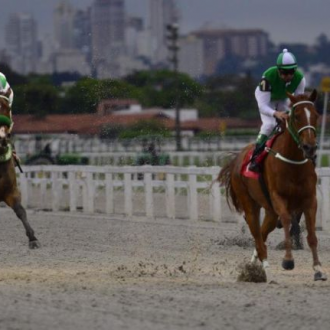 FILHA DE TIGER HEART VENCE CLÁSSICO EM 2000 METROS – De ponta a ponta, Fabian bate Pacchia em Cidade Jardim