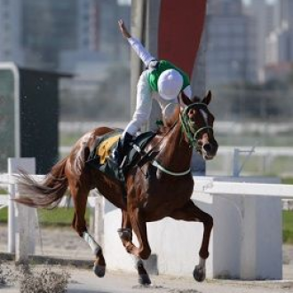 DUPLA DE FILHAS DE TIGER HEART NA PROVA ESPECIAL RAUL E IRENE CRESPI EM CJ – 09/05/2015