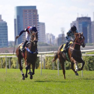 Flanática filha de Pioneering ganha Listed em Cidade Jardim