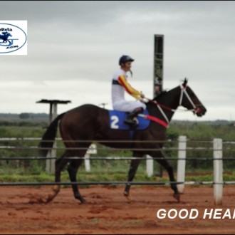 ALEGRETE -FINAL 03/05/2015