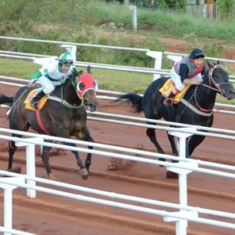 FILHO DE TIGER HEART VENCE IMPORTANTE PENCA EM CARAZINHO