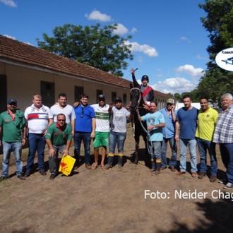 IGUASSU STAR, FILHO DE TIGER HEART, GANHA A 5ª PENCA SEGUIDA POR MAIS DE 5 CORPOS SEGUINDO INVICTO, MESMO CORRENDO COM 60 KG E DANDO    VANTAGEM DE 10 A 11 KG PARA OS ADVERSÁRIOS