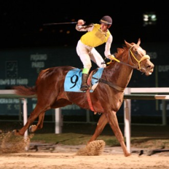 Numa tocada genial de E.Costa, Instant Dance fatura o GP Salgado Filho [27/10/2014]
