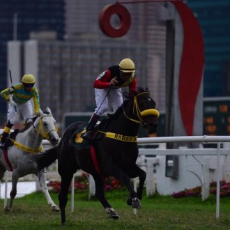 LUCKY ONE, CRIADO DESDE O DESMAME EM REGIME DE PENSIONATO NO HARAS SANTARÉM PARA O HARAS BELMONT VENCE A PROVA ESPECIAL FRANCESCO BATISTA GIOBBI EM CJ – Na PE Francesco Batista Giobbi, melhor para Lucky One