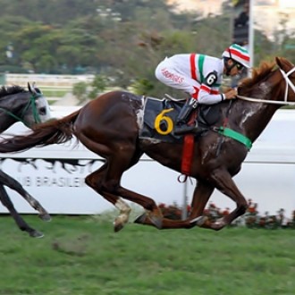 FILHO DE PIONEERING GANHA OUTRA PROVA DE GRUPO NA GÁVEA – 19/07/2015