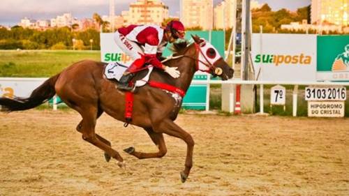 Namble Clássico Cristal