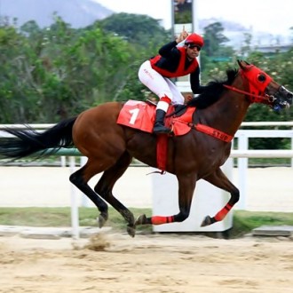 Na Prova Especial Eulógio Morgado, Naviccelo largou e acabou – 04/01/2015