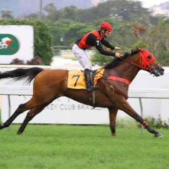 Ninguém conseguiu segurar Navicello no Clássico Sabinus (L) – 06/12/2015