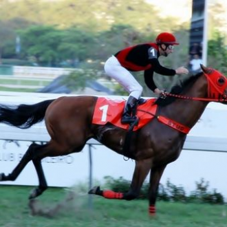 “Tinindo”, Navicello vence G3 de ponta a ponta – 30/08/2015