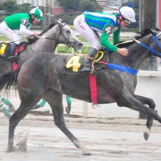 Orzuela comanda dobrada do Stud Gentil em São Paulo – 18/04/2015