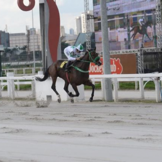 Num galope de saúde, Pacchia vence o GP Emerald Hill (gr.III) – 04/04/2015