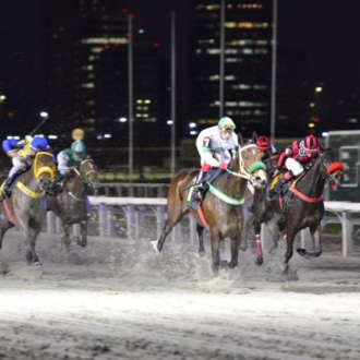 PACCHIA, DO HARAS SANTARÉM, GANHA GRUPO 3 EM CIDADE JARDIM – Pacchia bate as mais velhas e segue invicta na areia