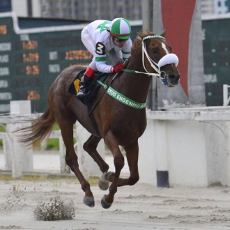 De ponta a ponta, Piacere E Mezzo vence a PE Eu Também – 09/01/2016