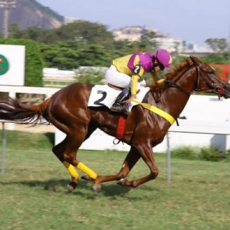 Pianella mostra disposição e vence a Prova Especial Allegresse – 06/02/2016